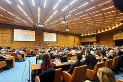 Consultation d’information sur la Convention des Nations Unies sur la lutte contre la cybercriminalité et sa mise en œuvre. Photo: VNA