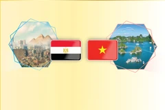 Relations d’amitié traditionnelle entre le Vietnam et l’Égypte 