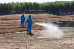Décontamination de l'aéroport de Biên Hoa. Photo: VNA