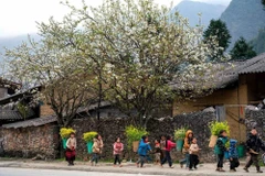 L'Assemblée nationale a approuvé l'investissement de 423 000 milliards de dôngs au Programme cible national pour l'édification de la Nouvelle ruralité, la réduction durable de la pauvreté et le développement socio-économique des zones montagneuses et peuplées de minorités ethniques pour la période 2026-2030. Photo: VNA