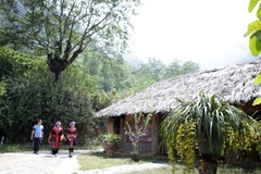 Le plateau de Sin Hô, dans la province de Lai Châu, séduit les visiteurs par sa fraîcheur, ses paysages époustouflants et la richesse culturelle. Photo: VNA
