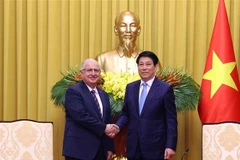 Le président Luong Cuong (droite) reçoit le ministre turc de la Défense Yasar Guler. Photo: VNA