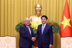 Le président Luong Cuong (droite) reçoit le ministre turc de la Défense Yasar Guler. Photo: VNA