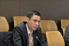 Le vice-ministre des Affaires étrangères, Dang Hoàng Giang. Photo: VNA