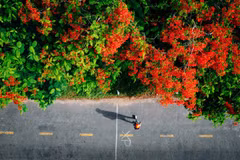 Les voyageurs vietnamiens optent de plus en plus pour des séjours courts à l'étranger et des expériences originales à l'occasion des congés du 30 avril et du 1er mai. Photo: VietnamPlus