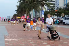 Des visiteurs à Da Nang. Photo: VNA