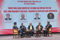 Conférence de connexion commerciale et de promotion des exportations 2025 dans la province vietnamienne de Gia Lai. Photo: VNA