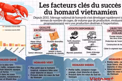 Les facteurs clés du succès du homard vietnamien