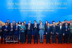 Le Premier ministre Le Minh Hung et des délégués participant au séance plénière de la 33e Conférence diplomatique. Photo: VNA