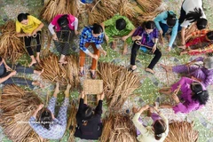Le partenariat entre l'UFV et Unilever Vietnam a été déployé dans 21 villes et provinces, avec des activités concrètes adaptées aux réalités locales, ayant un impact positif sur la vie de plus de 100 000 femmes.. Photo: VNA