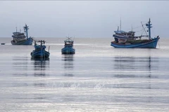 Depuis 2022, la province de Tien Giang, située dans le delta du Mékong, n'a enregistré aucun cas de pêche INN. Photo: VNA