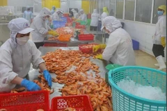 Standard Chartered prévoit une croissance de 6,7 % pour le Vietnam en 2025. Photo: VietnamPlus