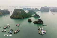 La baie d'Ha Long ne figure pas sur la liste des 56 sites du patrimoine mondial en péril. Photo: VNA