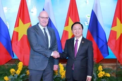 Le vice-Premier ministre Tran Hong Ha (droite) et son homologue russe Dmitry Nikolayevich Chernyshenko. Photo: VNA