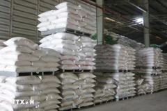Les exportations vietnamiennes devraient atteindre 8 millions de tonnes cette année. Photo: VNA