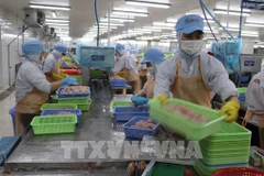 De nombreuses entreprises singapouriennes considèrent désormais le Vietnam comme une source d’approvisionnement fiable de produits aquatiques. Photo: VNA