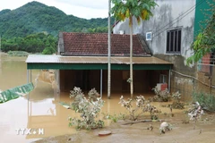 Les fortes pluies prolongées dues au typhon Wipha ont entraîné de graves inondations et glissements de terrain à Nghê An, causant d'importantes pertes humaines et matérielles. Photo: VNA