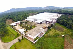 La BAD soutiendra des projets clés du Vietnam axés sur la transformation durable du secteur rizicole, la conservation des écosystèmes et l'amélioration de la qualité de l'environnement. Photo: Vietnam+