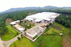 La BAD soutiendra des projets clés du Vietnam axés sur la transformation durable du secteur rizicole, la conservation des écosystèmes et l'amélioration de la qualité de l'environnement. Photo: Vietnam+