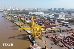 L’escalade du conflit au Moyen-Orient perturbe le transport maritime et pesant lourdement sur les flux commerciaux internationaux. Photo: VNA