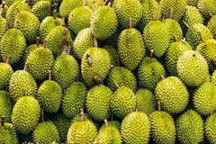 La Chine a officiellement mis à jour et approuvé 829 codes de zones de culture et 131 codes d'installations d'emballage pour le durian vietnamien. Photo: VNA