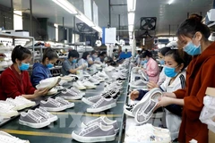 Le Vietnam se classe actuellement au troisième rang mondial pour la production de chaussures, avec environ 1,4 milliard de paires fabriquées chaque année. Photo: VNA