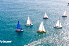 Des régates sur la rivière Han seront prévus lors du Enjoy Danang Festival 2025. Photo: VNA