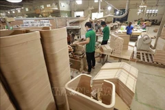 Le Vietnam se classe actuellement au 5ᵉ rang mondial et au 2ᵉ rang asiatique pour les exportations de bois et de produits forestiers. Photo: VNA