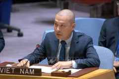 Le ministre-conseiller Nguyên Hoang Nguyên, chargé d’affaires par intérim de la Mission permanente du Vietnam auprès des Nations Unies. Photo: VNA