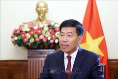 Le vice-ministre des Affaires étrangères Nguyen Manh Cuong. Photo: VNA