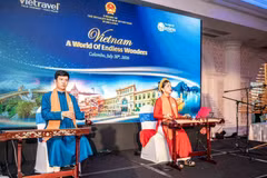Des artistes participant au programme de promotion du tourisme au Sri Lanka: Photo: ambassade du Vietnam au Sri Lanka