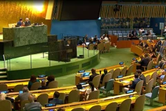 Séance plénière de l'Assemblée générale des Nations Unies. Photo: VNA