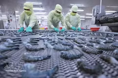 Les exportations de produits aquatiques progressent de 8 % au premier trimestre
