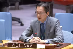 L’ambassadeur Do Hung Viet, chef de la Mission permanente du Vietnam auprès des Nations unies. Photo: VNA