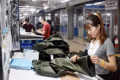 Après près de six ans de mise en œuvre, l'Accord de libre-échange entre le Vietnam et l'Union européenne (EVFTA) s'affirme comme un levier majeur des exportations vietnamiennes vers le marché européen. Photo: VNA