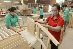 Les exportations vietnamiennes de produits agricoles, sylvicoles et aquatiques sont estimées à 45,37 milliards de dollars sur les huit premiers mois de 2025. Photo: VNA