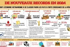 De nouveaux records en 2024 aident l'économie vietnamienne à se classer parmi les pays à forte croissance régionale 
