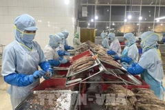 Pour exploiter pleinement le potentiel du marché européen, le secteur agricole vietnamien doit surmonter d'importantes barrières en matière de normes techniques, de qualité, de logistique et proposer une stratégie de développement des produits. Photo: VNA