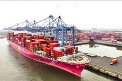 Le port de Cai Mep-Thi Vai est le seul pôle portuaire du Vietnam capable d'accueillir des porte-conteneurs d'une capacité supérieure à 200.000 TPL. Photo : VNA