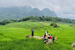 Zone du tourisme communautaire de Pu Luong, province de Thanh Hoa. Photo: VNA