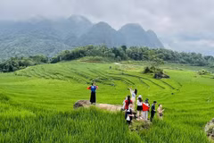 Zone du tourisme communautaire de Pu Luong, province de Thanh Hoa. Photo: VNA