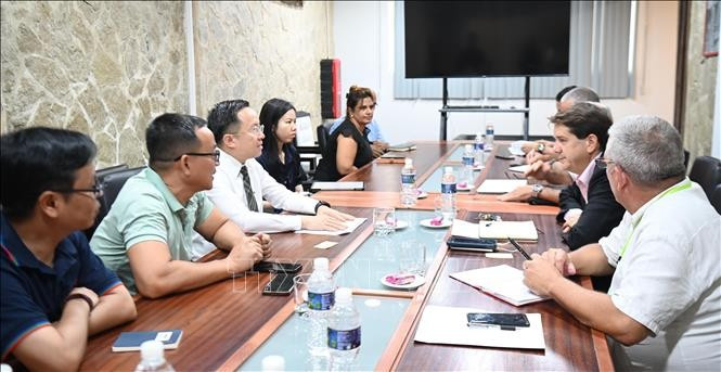 La délégation de la VTV travaille avec l'IICS. Photo: VNA