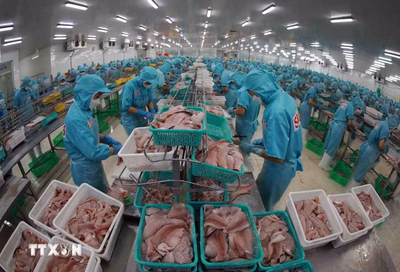 Les relations commerciales entre le Vietnam et Singapour ont continué de prospérer au cours des neuf premiers mois de l'année 2025. Photo: VNA