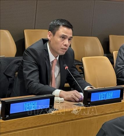 Le vice-ministre des Affaires étrangères, Dang Hoàng Giang. Photo: VNA