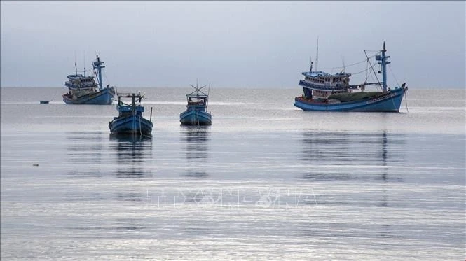 Depuis 2022, la province de Tien Giang, située dans le delta du Mékong, n'a enregistré aucun cas de pêche INN. Photo: VNA