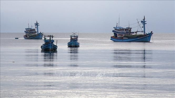 Depuis 2022, la province de Tien Giang, située dans le delta du Mékong, n'a enregistré aucun cas de pêche INN. Photo: VNA