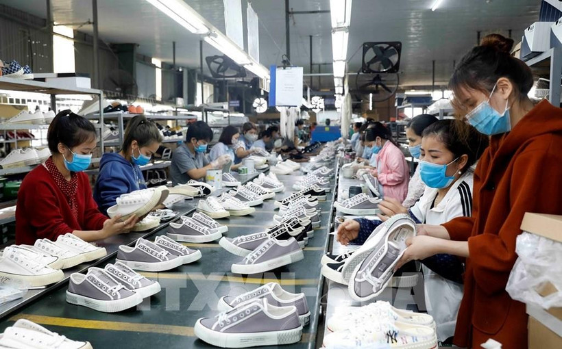Le Vietnam se classe actuellement au troisième rang mondial pour la production de chaussures, avec environ 1,4 milliard de paires fabriquées chaque année. Photo: VNA
