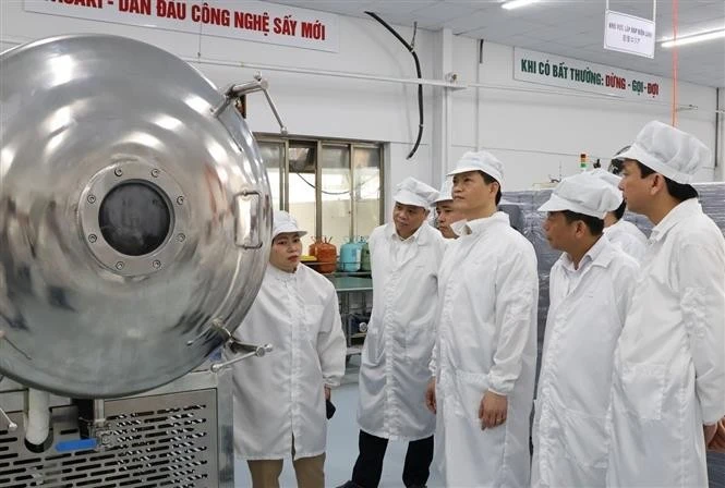 Le président du Comité populaire provincial, Vuong Quôc Tuân (3e de droite) visite un établissement de la société Hanel dans la zone industrielle de Tiên Son. Photo: VNA