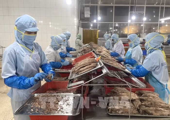 Pour exploiter pleinement le potentiel du marché européen, le secteur agricole vietnamien doit surmonter d'importantes barrières en matière de normes techniques, de qualité, de logistique et proposer une stratégie de développement des produits. Photo: VNA