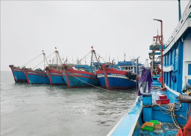 Des navires de pêche ancrés au port de Cua Hoi, province de Nghe An. Photo: VNA